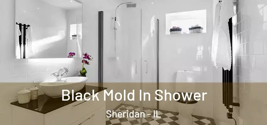  Black Mold In Shower Sheridan - IL