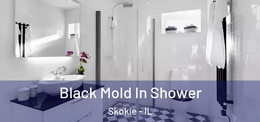  Black Mold In Shower Skokie - IL