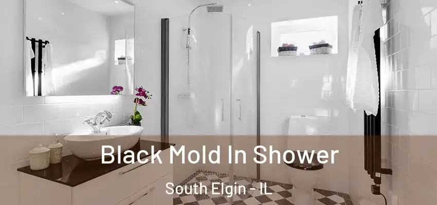  Black Mold In Shower South Elgin - IL