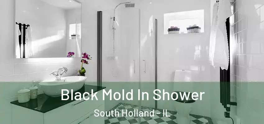  Black Mold In Shower South Holland - IL