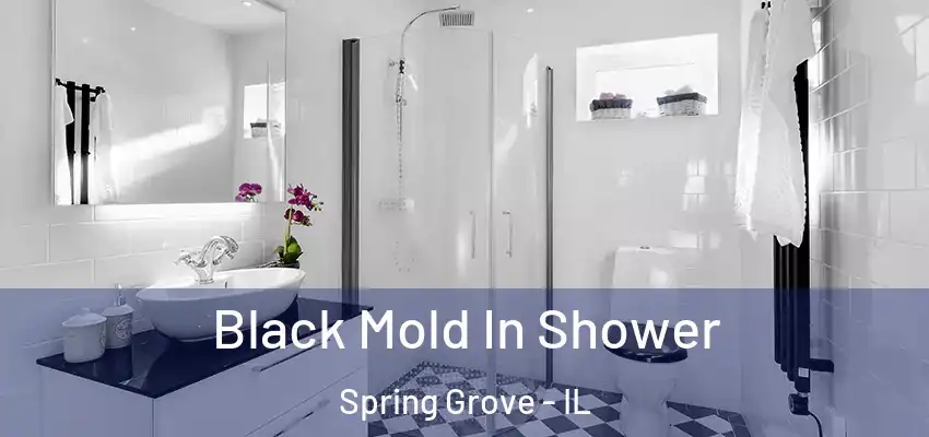  Black Mold In Shower Spring Grove - IL