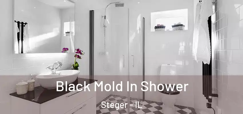  Black Mold In Shower Steger - IL