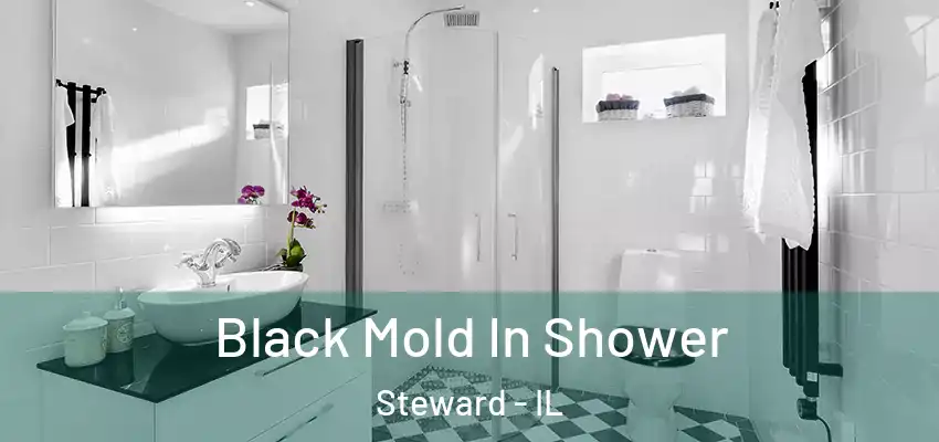 Black Mold In Shower Steward - IL