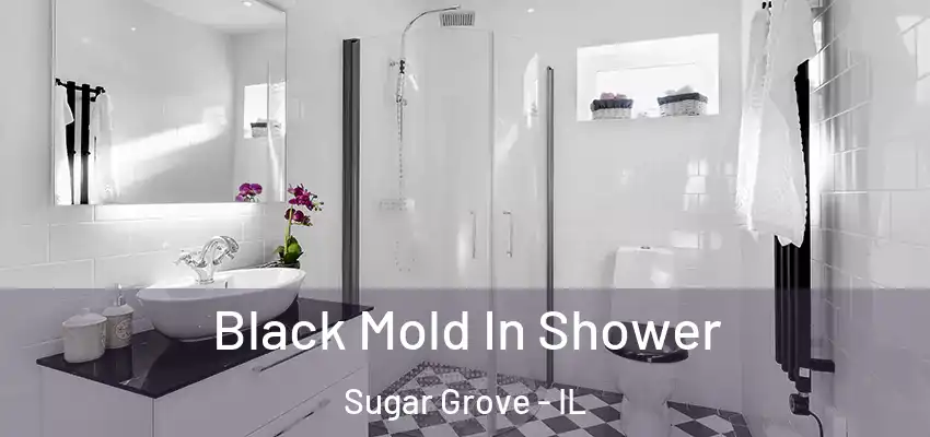  Black Mold In Shower Sugar Grove - IL