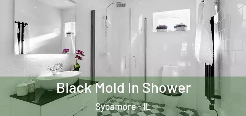 Black Mold In Shower Sycamore - IL