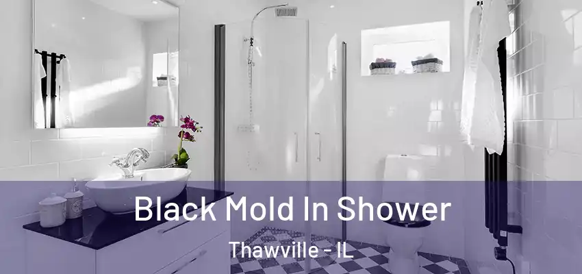  Black Mold In Shower Thawville - IL