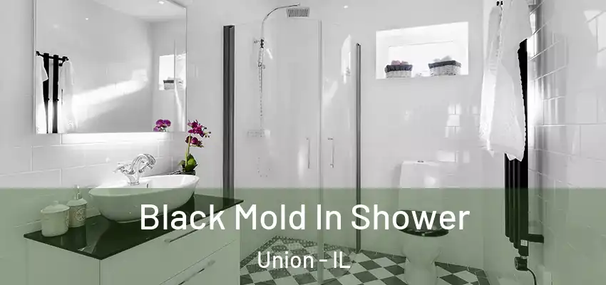  Black Mold In Shower Union - IL