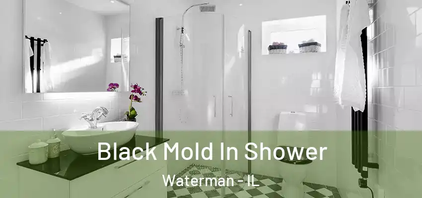 Black Mold In Shower Waterman - IL