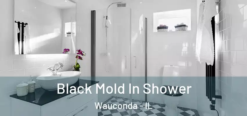 Black Mold In Shower Wauconda - IL
