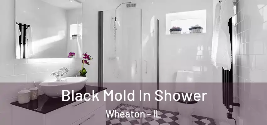  Black Mold In Shower Wheaton - IL