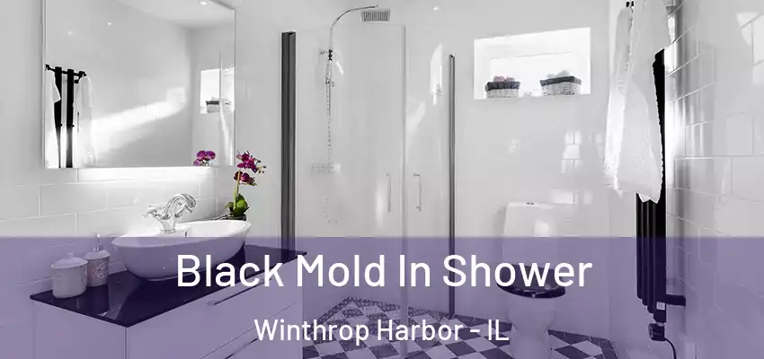  Black Mold In Shower Winthrop Harbor - IL