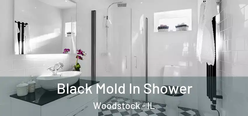 Black Mold In Shower Woodstock - IL