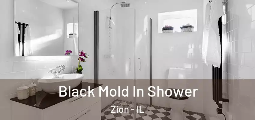 Black Mold In Shower Zion - IL