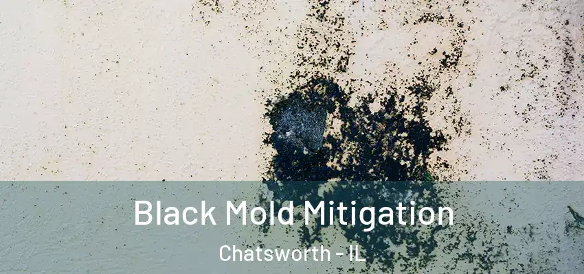  Black Mold Mitigation Chatsworth - IL