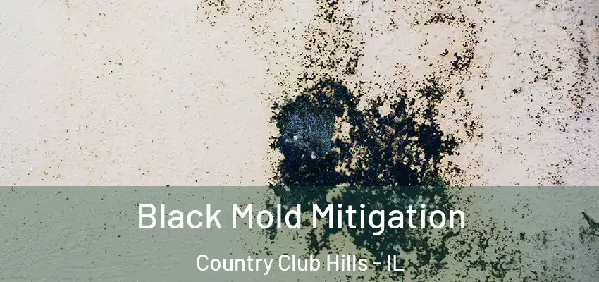 Black Mold Mitigation Country Club Hills - IL