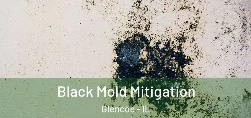  Black Mold Mitigation Glencoe - IL