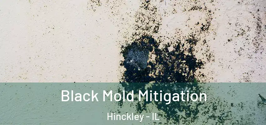  Black Mold Mitigation Hinckley - IL
