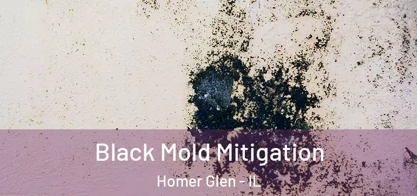  Black Mold Mitigation Homer Glen - IL
