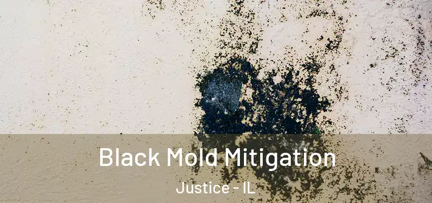  Black Mold Mitigation Justice - IL