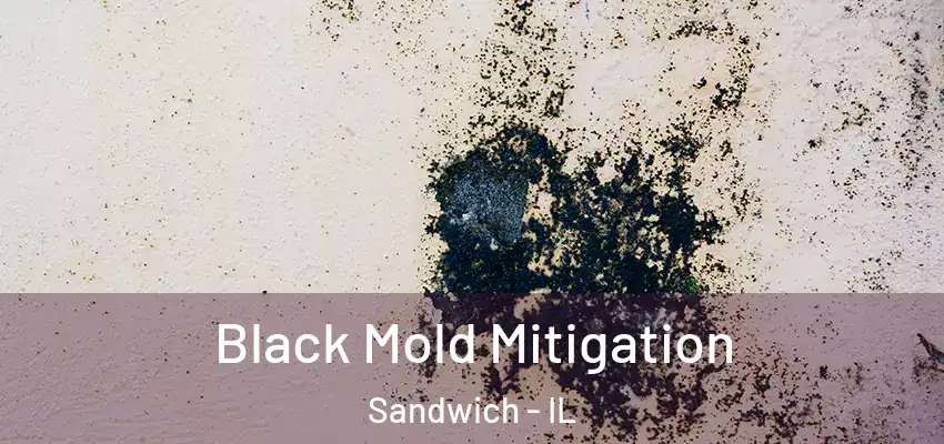  Black Mold Mitigation Sandwich - IL