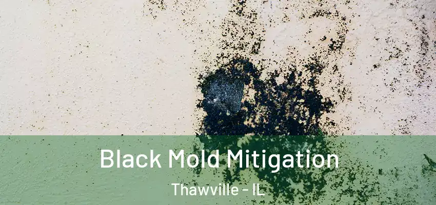  Black Mold Mitigation Thawville - IL