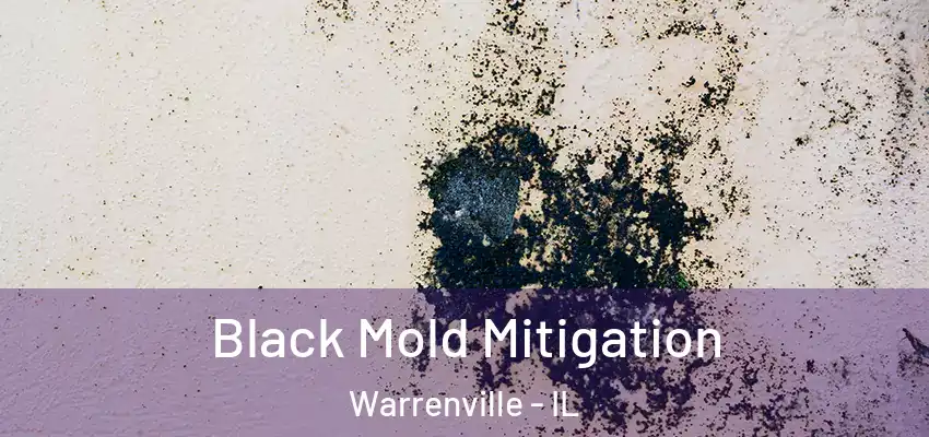  Black Mold Mitigation Warrenville - IL