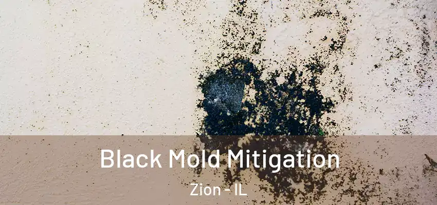  Black Mold Mitigation Zion - IL