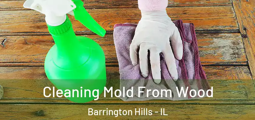 Cleaning Mold From Wood Barrington Hills - IL