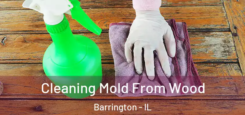  Cleaning Mold From Wood Barrington - IL