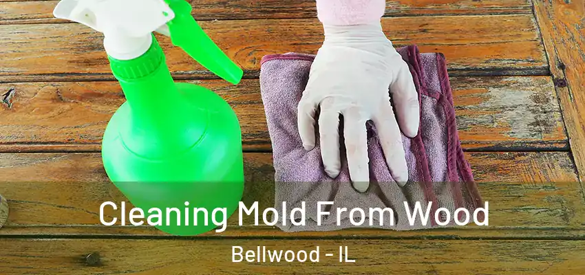 Cleaning Mold From Wood Bellwood - IL
