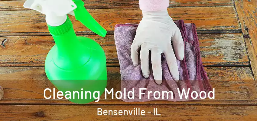  Cleaning Mold From Wood Bensenville - IL