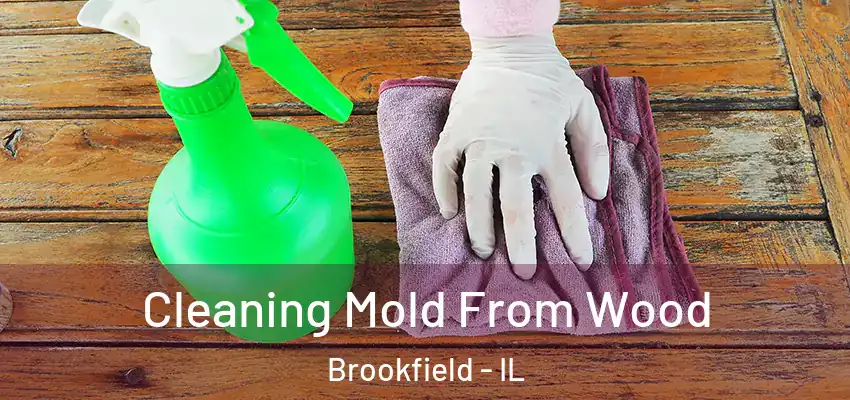 Cleaning Mold From Wood Brookfield - IL