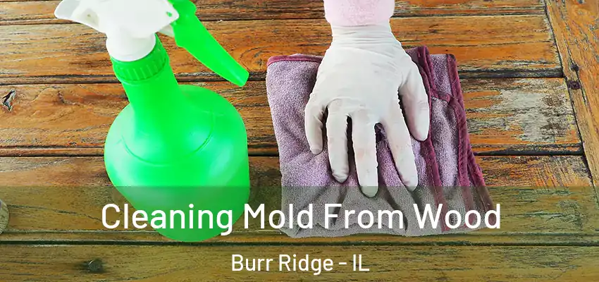 Cleaning Mold From Wood Burr Ridge - IL