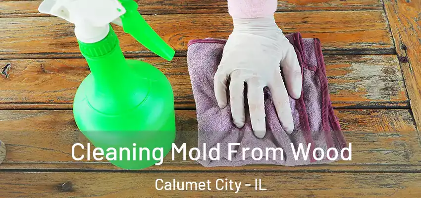 Cleaning Mold From Wood Calumet City - IL