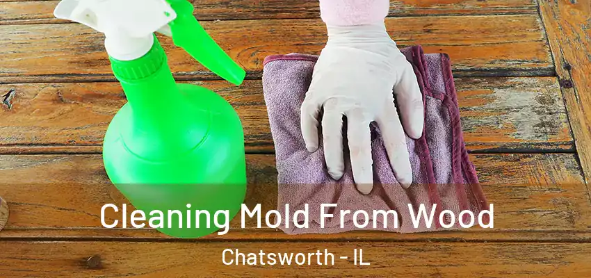  Cleaning Mold From Wood Chatsworth - IL