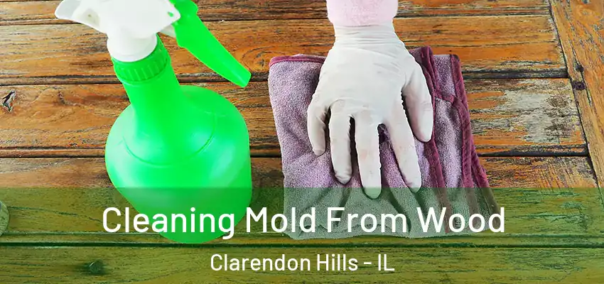Cleaning Mold From Wood Clarendon Hills - IL