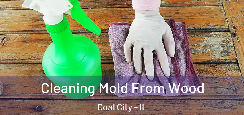 Cleaning Mold From Wood Coal City - IL