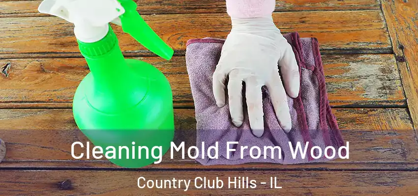  Cleaning Mold From Wood Country Club Hills - IL