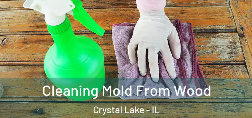 Cleaning Mold From Wood Crystal Lake - IL