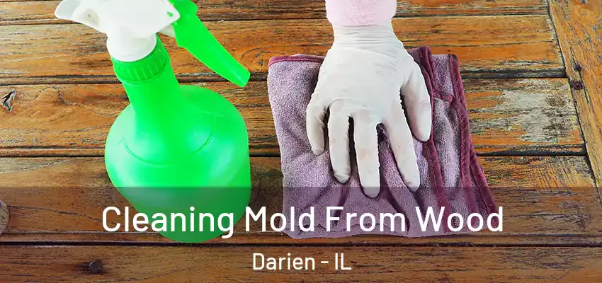 Cleaning Mold From Wood Darien - IL