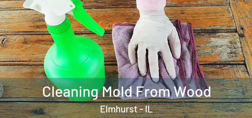  Cleaning Mold From Wood Elmhurst - IL