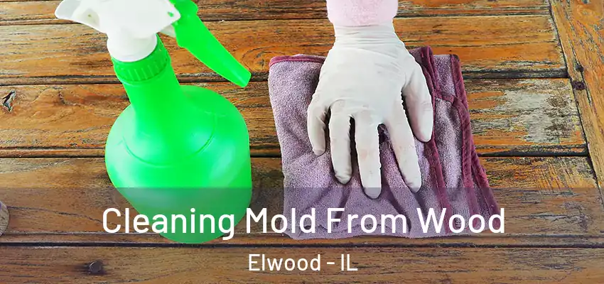  Cleaning Mold From Wood Elwood - IL
