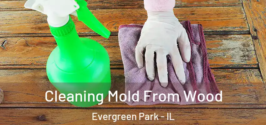  Cleaning Mold From Wood Evergreen Park - IL