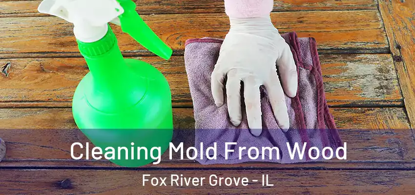  Cleaning Mold From Wood Fox River Grove - IL