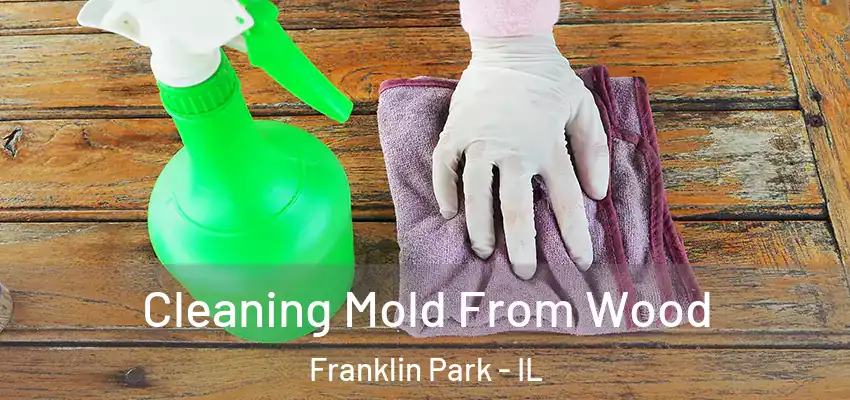  Cleaning Mold From Wood Franklin Park - IL