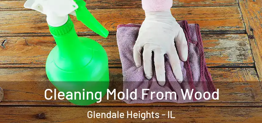  Cleaning Mold From Wood Glendale Heights - IL