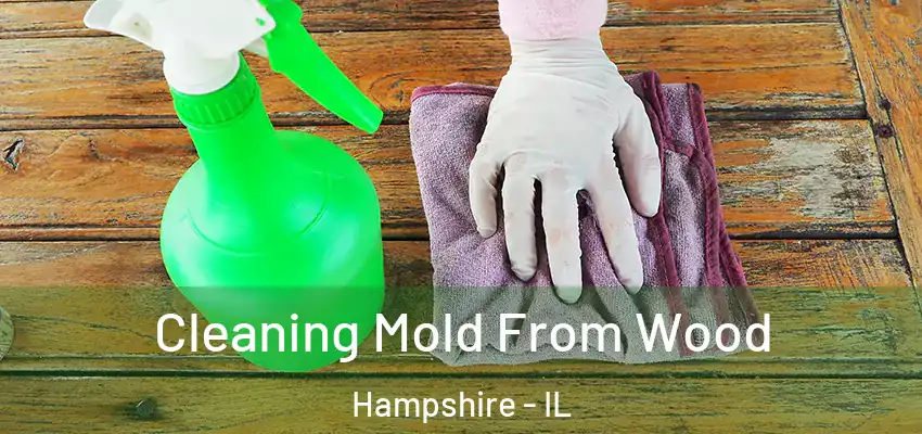 Cleaning Mold From Wood Hampshire - IL