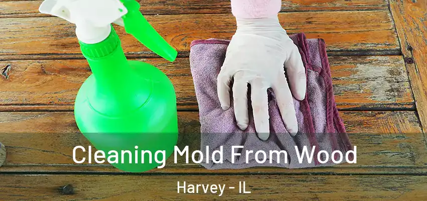  Cleaning Mold From Wood Harvey - IL