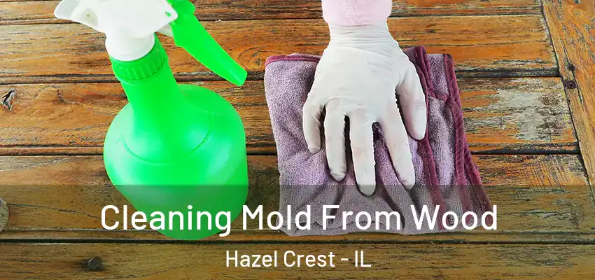  Cleaning Mold From Wood Hazel Crest - IL