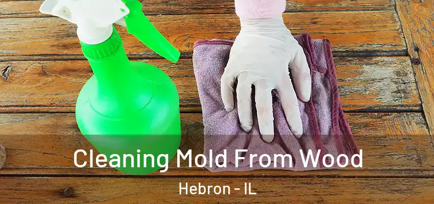 Cleaning Mold From Wood Hebron - IL